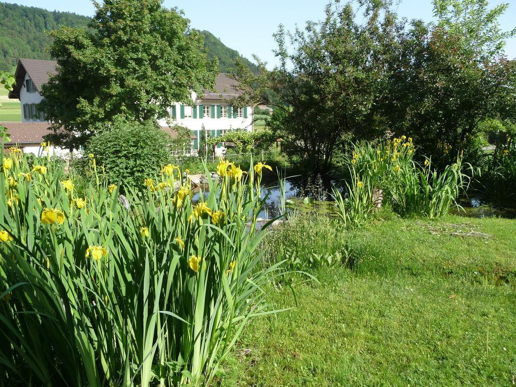 Gastehaus Zum Tulpenbaum Bed & Breakfast Turbenthal Exterior photo